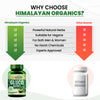 Vlado's Himalayan Organics Plant Based Gluco Balance Insulin Resistance, Diabetes Control