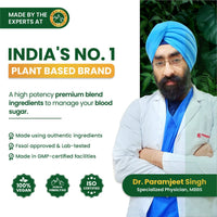 Vlado's Himalayan Organics Plant Based Gluco Balance Insulin Resistance, Diabetes Control