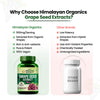 Vlado's Himalayan Organics Grape Seed Extract 500mg - 90 Veg Capsules