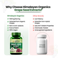 Vlado's Himalayan Organics Grape Seed Extract 500mg - 90 Veg Capsules