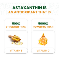 Vlado's Himalayan Organics Naturally Sourced Astaxanthin 4mg 60 Veg Capsules