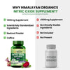 Vlado's Himalayan Organics Nitric Oxide Supplement with L- Arginine HCL 1400mg 60 Capsules