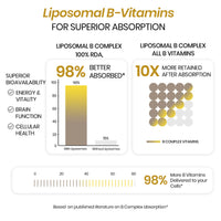Vlado's Himalayan Organics Plant Based B-Complex Vitamins B12, B1, B2, B3, B5, B6, B9 and Biotin for Metabolism, Hair and Energy
