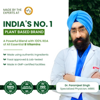 Vlado's Himalayan Organics Plant Based B-Complex Vitamins B12, B1, B2, B3, B5, B6, B9 and Biotin for Metabolism, Hair and Energy
