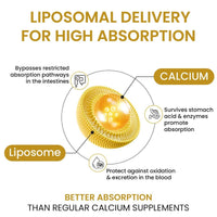 Vlado's Liposomal Calcium 2100mg + D3, K2, B12 - Bones, Heart, Joints, 60 Tabs