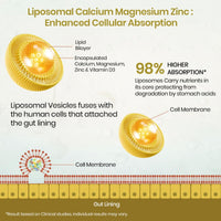 Vlado's Liposomal Calcium, Magnesium, Zinc + D3, K2 - Bones, Immunity, 60 Tabs