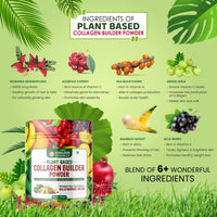 Vlado's Himalayan Organics Plant Based Collagen Builder Powder for Skin Regeneration 250 gm