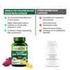 Vlado's Himalayan Organics Plant Based Iron Supplement - 90 Veg Capsules