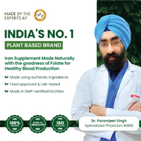 Vlado's Himalayan Organics Plant Based Iron Supplement - 90 Veg Capsules