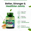Vlado's Himalayan Organics Plant Based Joint Support 60 Veg Tablets