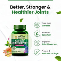 Vlado's Himalayan Organics Plant Based Joint Support 60 Veg Tablets