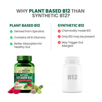 Vlado's Himalayan Organics Plant Based Vitamin B12 Natural