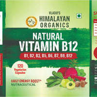 Vlado's Himalayan Organics Plant Based Vitamin B12 Natural