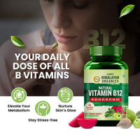 Vlado's Himalayan Organics Plant Based Vitamin B12 Natural