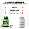 Vlado's Himalayan Organics Plant Based Vitamin C with Zinc - 120 Veg Capsules