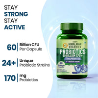 Vlado’s Himalayan Organic Probiotics 60 Billion CFU + 170Mg Prebiotics + 24 Strains Supplement | Better Nutrient Absorption | Healthy Digestion, Stronger Immunity & Overall Wellness - 60 Veg Capsules
