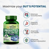 Vlado's Himalayan Organics Probiotics 50 Billion CFU with Prebiotics 150mg - 60 Veg Capsules