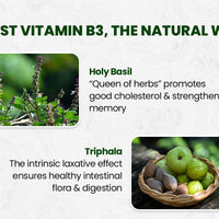 Vlado's Himalayan Organics Plant-Based Vitamin B3 14mg 120 Capsules