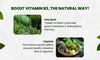 Vlado's Himalayan Organics Plant-Based Vitamin B3 14mg 120 Capsules