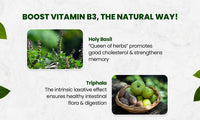 Vlado's Himalayan Organics Plant-Based Vitamin B3 14mg 120 Capsules