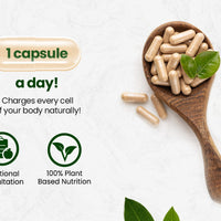 Vlado's Himalayan Organics Plant-Based Vitamin B3 14mg 120 Capsules