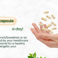 Vlado's Himalayan Organics Plant-Based Vitamin B6 120 Capsules