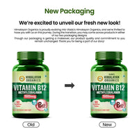 Vlado's Himalayan Organics Methylcobalamin Vitamin B12 1500mcg Supplement - 90 Veg Tablets