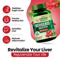 Vlado's Himalayan Organics Berberis Aristata 98% Berberine with Milk Thistle - 60 Veg Capsules