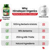 Vlado's Himalayan Organics Berberis Aristata 98% Berberine with Milk Thistle - 60 Veg Capsules