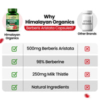 Vlado's Himalayan Organics Berberis Aristata 98% Berberine with Milk Thistle - 60 Veg Capsules