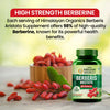Vlado's Himalayan Organics Berberis Aristata 98% Berberine with Milk Thistle - 60 Veg Capsules