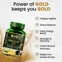 Vlado's Himalayan Organics Pure Shilajit 24 carat Gold with Ashwagandha 60 Capsules