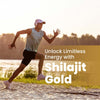 Vlado's Himalayan Organics Pure Shilajit 24 carat Gold with Ashwagandha 60 Capsules