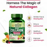 Vlado's Himalayan Organics Vegan Collagen 2000Mg With Biotin And Vitamin C - 100 Veg Tablets