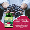 Vlado's HImalayan Organics Resveratrol 255mg with Grape Seed Extract Supplement 60 Capsules