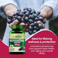 Vlado's HImalayan Organics Resveratrol 255mg with Grape Seed Extract Supplement 60 Capsules