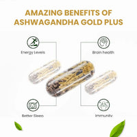 Vlado's Himalayan Organics Ashwagandha Gold 60 Veg Capsules