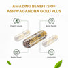 Vlado's Himalayan Organics Ashwagandha Gold 60 Veg Capsules