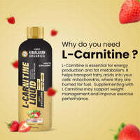 Vlado's Himalayan Organics L Carnitine Liquid 3000 mg I with Vitamin B3, B5, B6 I Pre Workout, Intra Workout & Post Workout Supplement I | Converts Fat to Muscle