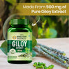 Vladoâ€™s Himalayan Organics Giloy Extracts (GUDUCHI) 500Mg - 120 Veg Tablets For Mens And Womens