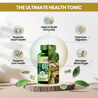 Vladoâ€™s Himalayan Organics Giloy Extracts (GUDUCHI) 500Mg - 120 Veg Tablets For Mens And Womens