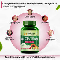 Vladoâ€™s Himalayan Organics Plant-Based Collagen Builder â€“ 90 Capsules