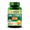 Vlado’s Himalayan Organics Zinc Citrate Supplement – Immune Booster with Iron Absorption & Antioxidant Support – 120 Veg Capsules