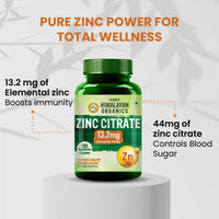 Vlado’s Himalayan Organics Zinc Citrate Supplement – Immune Booster with Iron Absorption & Antioxidant Support – 120 Veg Capsules