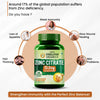 Vlado’s Himalayan Organics Zinc Citrate Supplement – Immune Booster with Iron Absorption & Antioxidant Support – 120 Veg Capsules