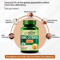 Vlado’s Himalayan Organics Zinc Citrate Supplement – Immune Booster with Iron Absorption & Antioxidant Support – 120 Veg Capsules