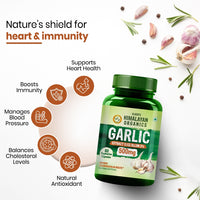Vladoâ€™s Himalayan Organics Garlic 500 mg â€“ 60 Vegetarian Capsules