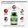 Vladoâ€™s Himalayan Organics Garlic 500 mg â€“ 60 Vegetarian Capsules