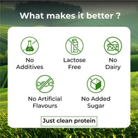 Vlado Himalayan Organics Plant Protein Powder – 28g Protein, 5g BCAA | Organic Pea Protein | Vegan, Clean, Unflavoured, 500 gm