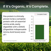 Vlado Himalayan Organics Plant Protein Powder – 28g Protein, 5g BCAA | Organic Pea Protein | Vegan, Clean, Unflavoured, 500 gm